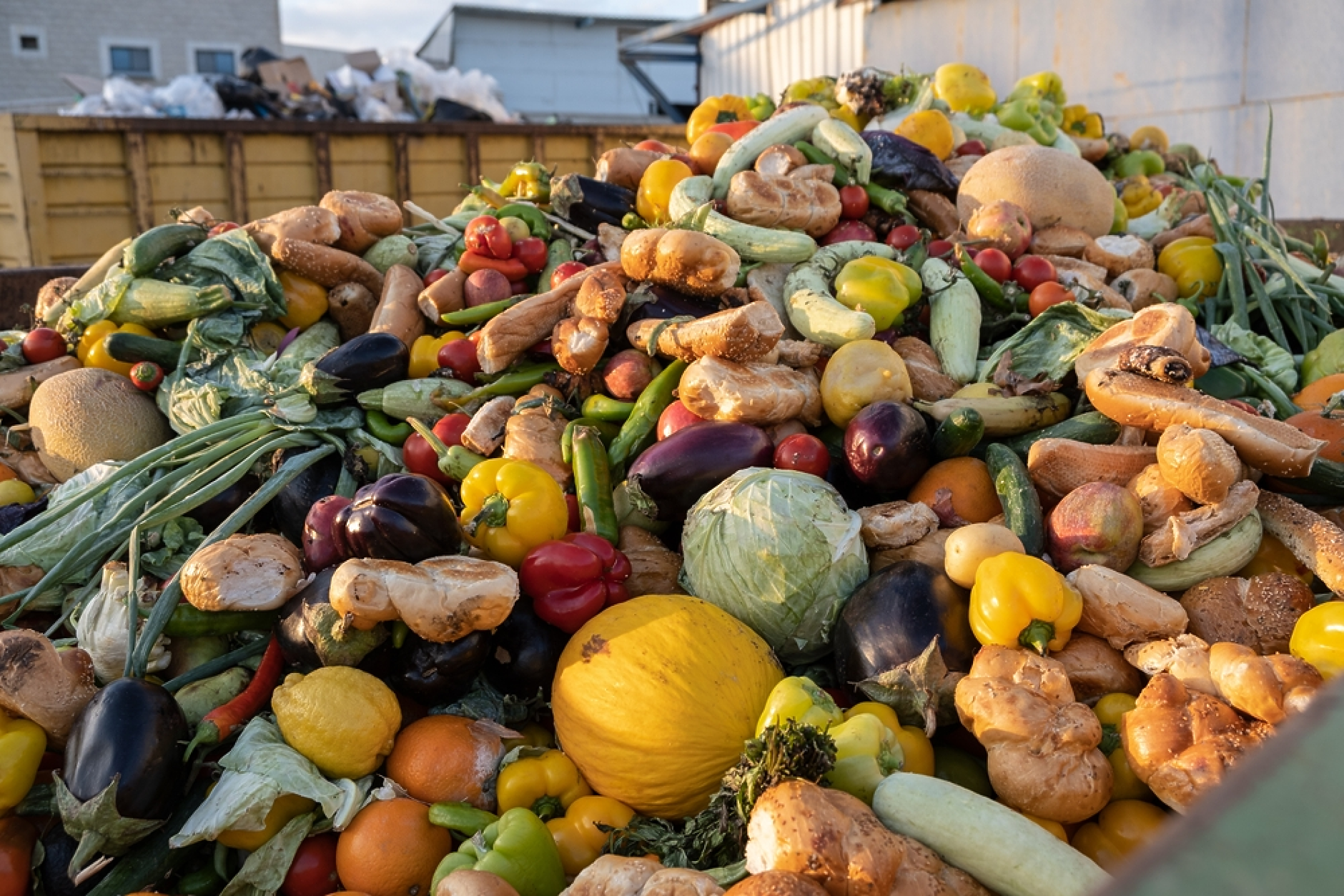 От подкаста на 