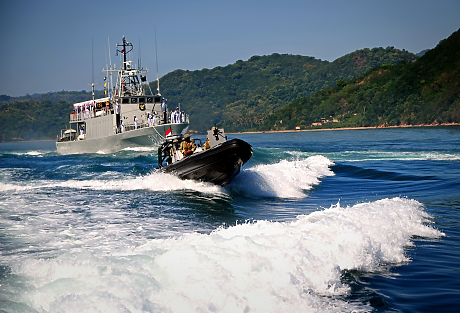 Военният флот на Индонезия преминава на гориво от палмово масло