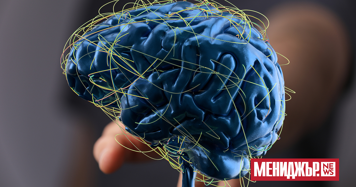 През февруари австралийският стартъп Cortical Lab обяви, че е обучил