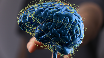 Компютър, направен от мозъчни клетки, играе Doom. И това е само началото