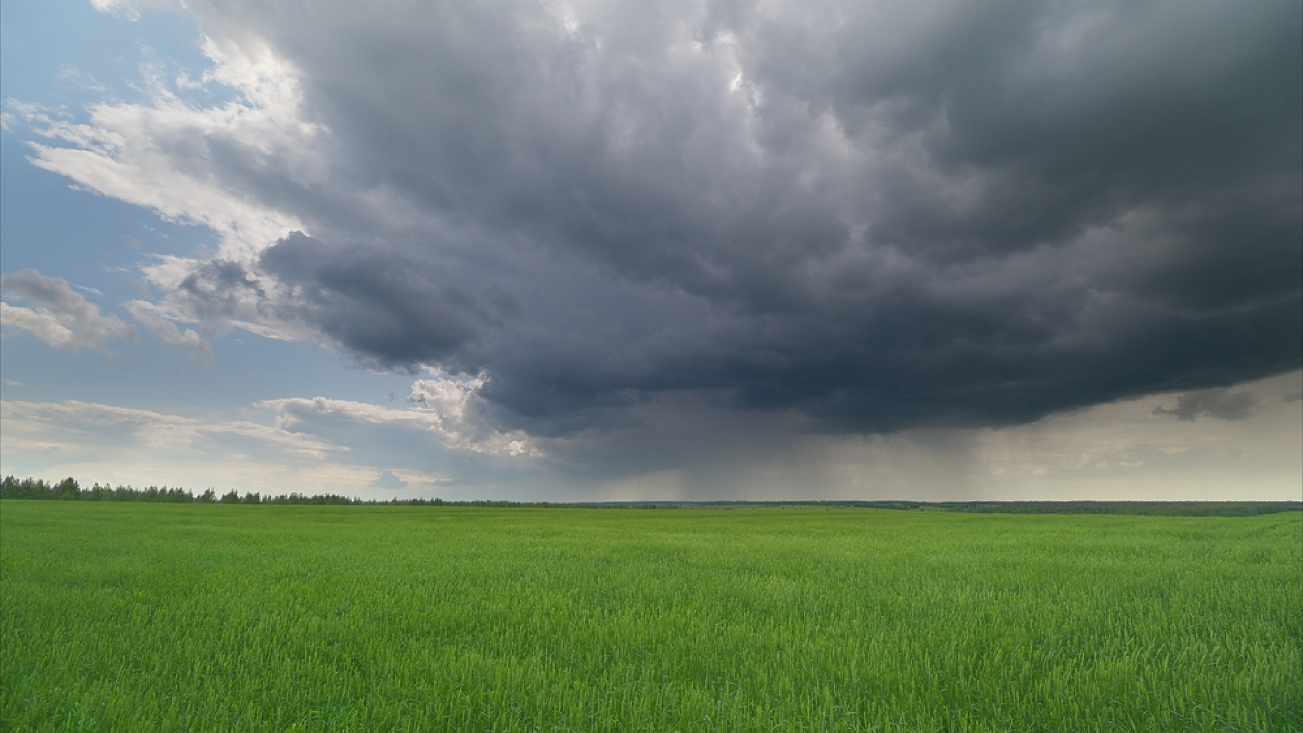 Времето: Облачно, ветровито, на много места и дъждовно