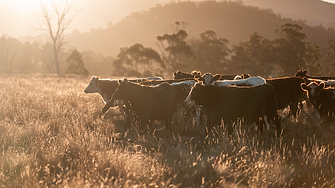 Жегата вдига разходите за заплати у нас средно с 0,6% 