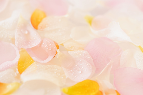 Digital age: Техно пробиви и открития