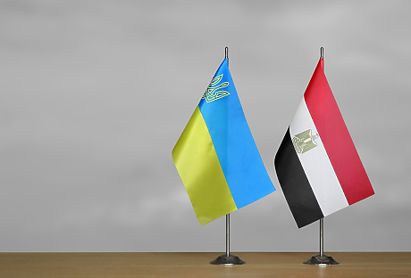 Зеленски: Египет отказва руска пшеница от окупирани украински територии