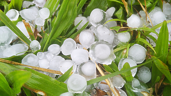 Предлагат родителите на деца до 12 г. да имат право да работят дистанционно през лятото