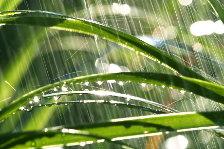 Времето: Слаби валежи от дъжд в Рило-Родопската област