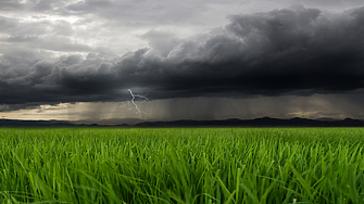 Столичната община е извозила 126 тона отпадъци от „Подуене“ и „Слатина“ при стандартна норма за двата района 90 тона