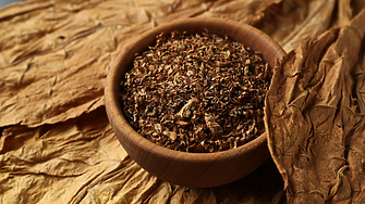 Удължават срока за вписване на тютюнопроизводителите