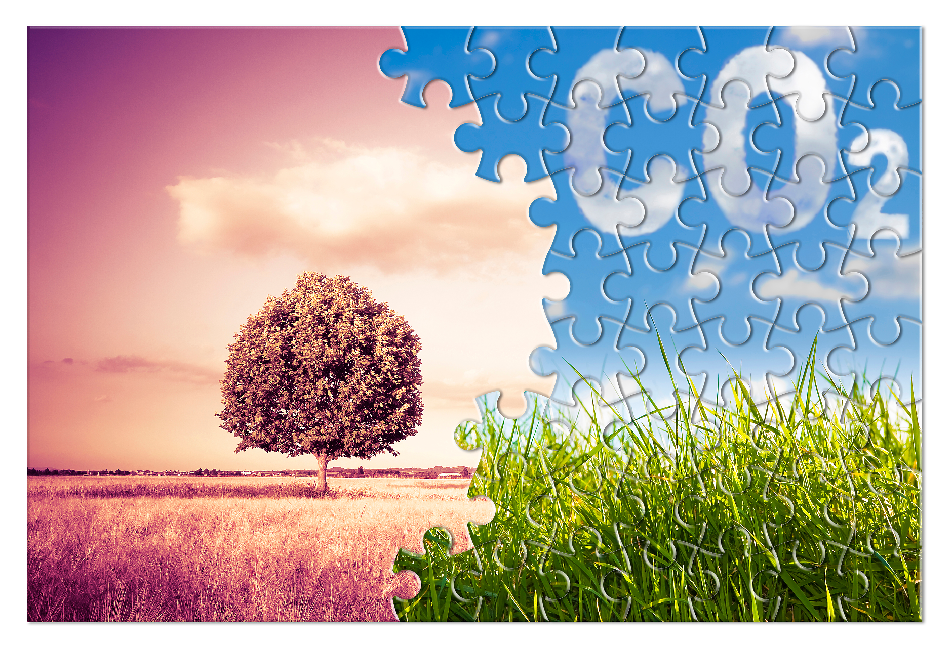 Въглеродните квоти под натиск