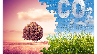 Въглеродните квоти под натиск