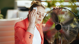 bTV Новините и актуалните предавания с празнични теми и срещи с вдъхновяващи личности