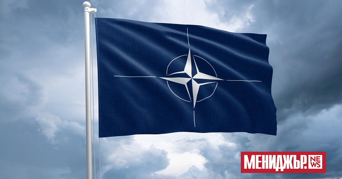Генералният секретар на НАТО Марк Рюте заяви, че алиансът е