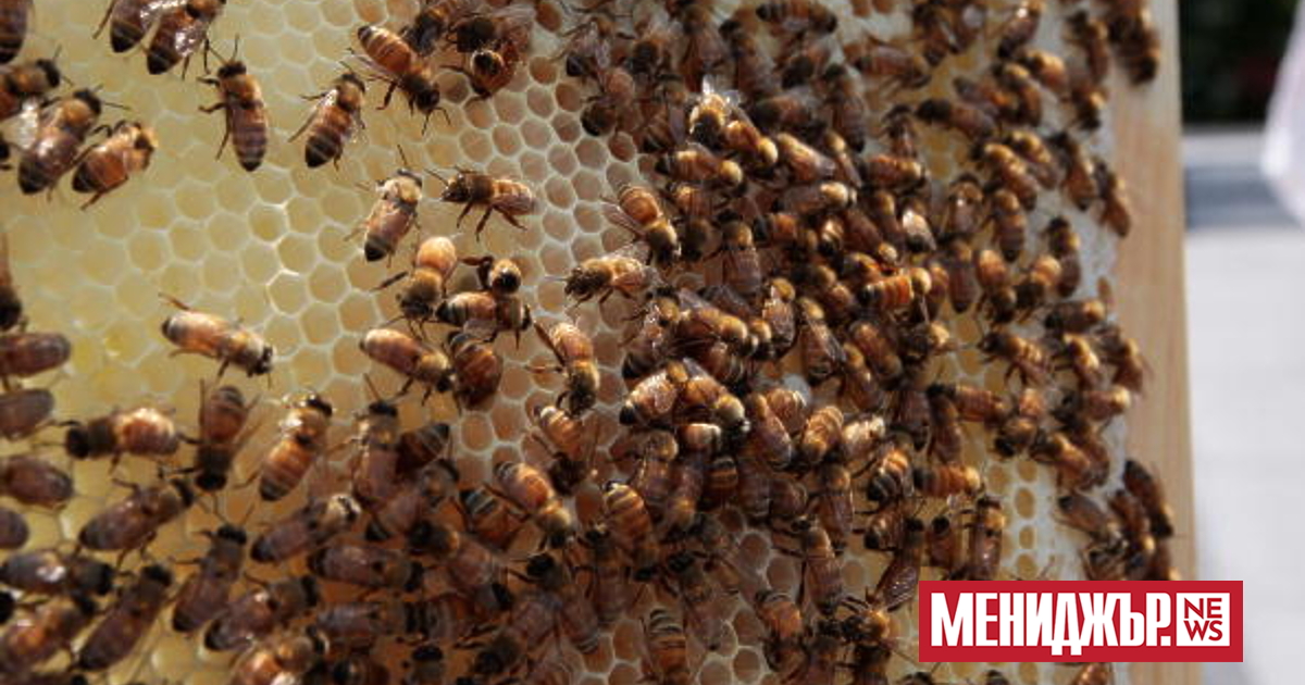 В окръг Ориндж, Тексас, камион, превозващ кошери с около два