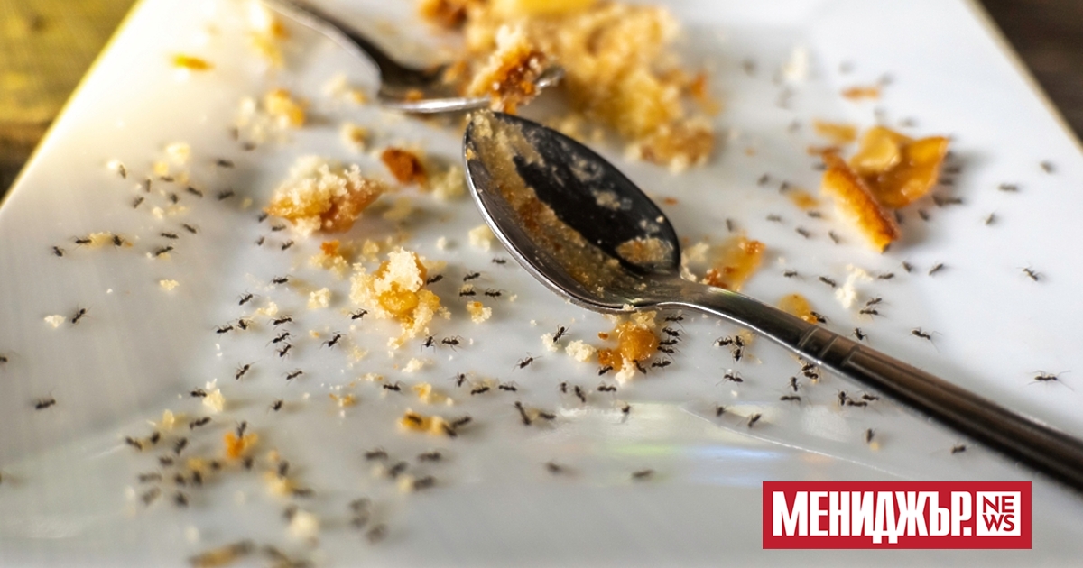 Собственикът на ресторант с две звезди Michelin в Сеул е