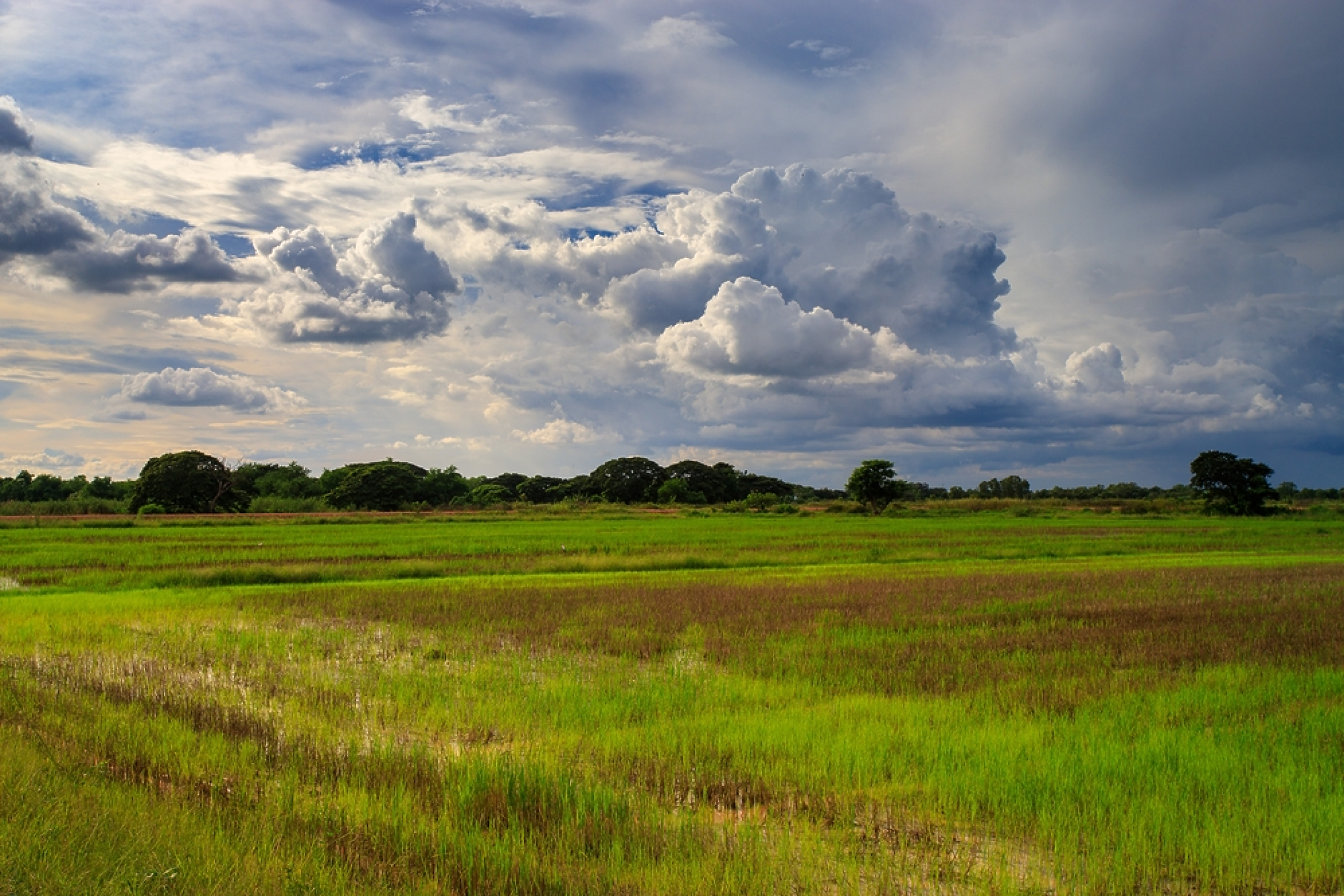 Времето: Остава топло, но на места със следобедни валежи